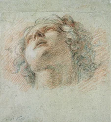 Head of a Youth, sett nedenfra (rødt og svart kritt på papir)