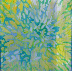 Acrapora, 2000 (olje på gesso)