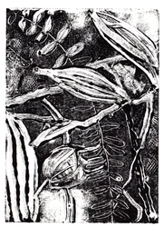 Inky Plants, 2019 (monoprint)