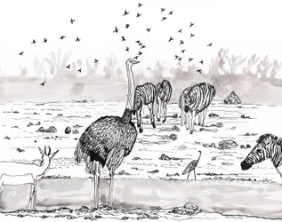 Safari 2, 2018 (blekk og akvarell)