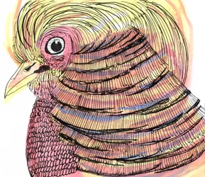 Tropical Bird, 2018 (penn, blekk og akvarell)