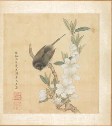 Malerier etter eldgamle mestere: A Bird and Peach-Blossom Branch