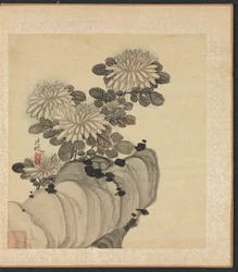 Malerier etter eldgamle mestere: Chrysanthemum and Rock, 1598-1652.