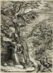 Saint Hieronymus i ørkenen
