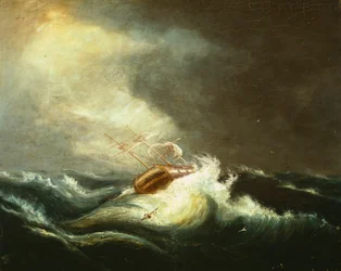 Skip i storm