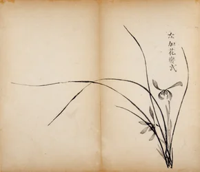 Ti Bamboo Studio Prints, 1643 (treblokk)