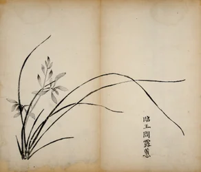 Ti Bamboo Studio Prints, 1643 (treblokk)