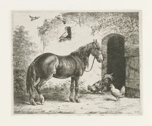 Hest med grime