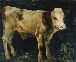 En oksekalv, 1876