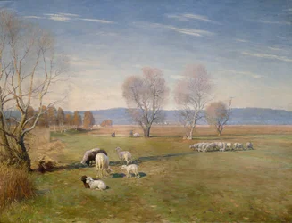 Landskap med sauer