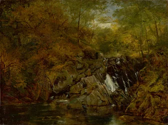 Fjellbekk