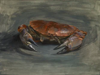 Krabbe, 2018 (olje på gesso-panel av tre)