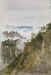 Gule fjellfuru, Huangshan, 2015 (akvarell på papir)