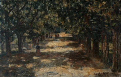 Kastanienallee til Belvedere