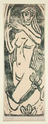 Nymfe
