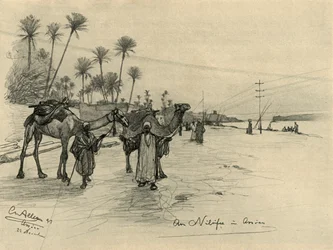 Kamelførere ved bredden av Nilen i Aswan, Egypt, 1898.