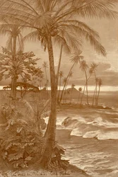 Stranden ved Waikiki, Hawaii, 1898.