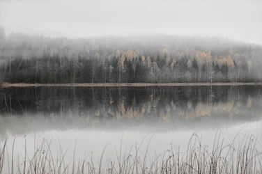Tåkete høstinnsjø