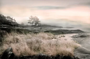 Tåkete vinterstrand