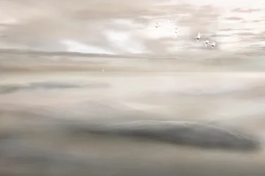 Svanesang til tåken