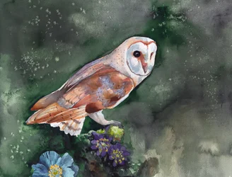Tårnugle – Nattblomster