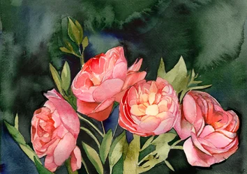 Rosa akvarellblomster