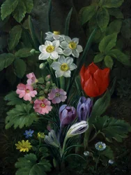Hageblomster om våren (inkludert tusenfryd, tulipaner, påskeliljer, krokus og primula). Maleri av Christine Marie Lovmand (1803–1872) Privat samling.