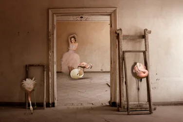 Flamingo-ballettdrømmen