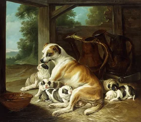 En mor med valpene sine, 1734