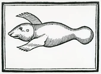 En fisk kalt 