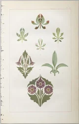Kunsten å dekorativt design: med et vedlegg, som gir klokkeslett for blomstene åpne, utgitt av Day & Son, London, 1862