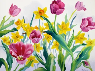 Påskeliljer og tulipaner (akvarell på papir)