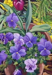 Blomsterpotter med stemorsblomster, 2007 (wc på papir)