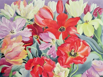 Massed Tulips, 2003 (wc på papir)