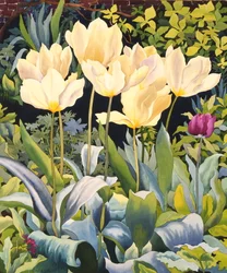 Bleke tulipaner (akvarell på papir)