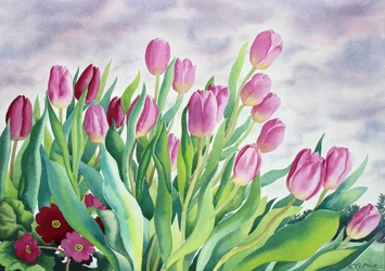Tulipaner ved vindu (akvarell på papir)