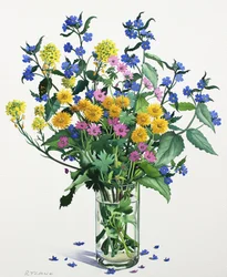 Ville blomster med Alkanet, 2021 (akvarell på papir)