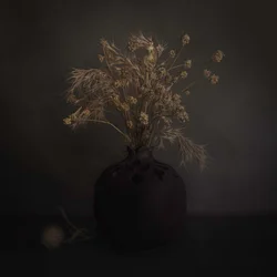 Mørkt botanisk arrangement