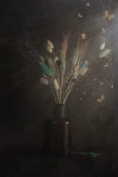 Mørke blomstersommerfugler