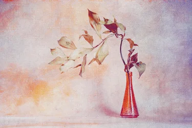 Falmede blader, oransje vase