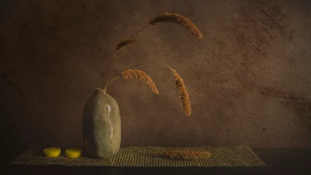 Minimalistisk botanisk stilleben