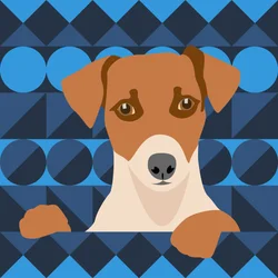 Aztec hund