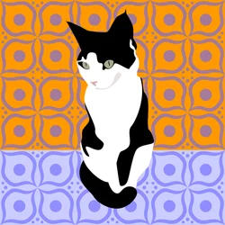 Katt på marokkanske fliser