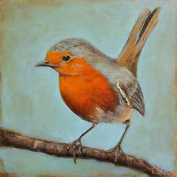 Fredelige Robin Perch
