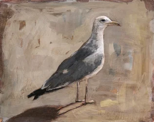 Portrett av en stående måke
