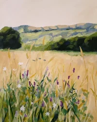 Høyder med villblomsterenger