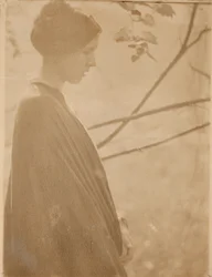 Sunlight, 1899, trykt 1901.