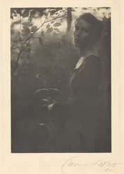 Skogkanten, kveld, 1900 (foto)
