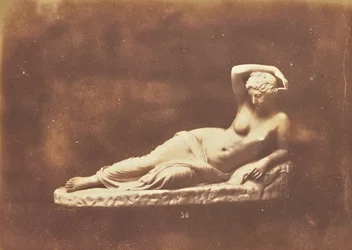 Arethusa