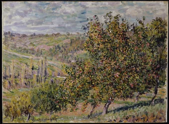 Epleblomst, 1878